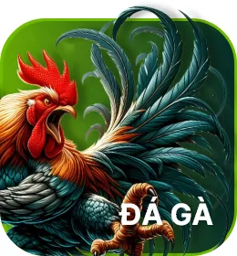 Đá gà